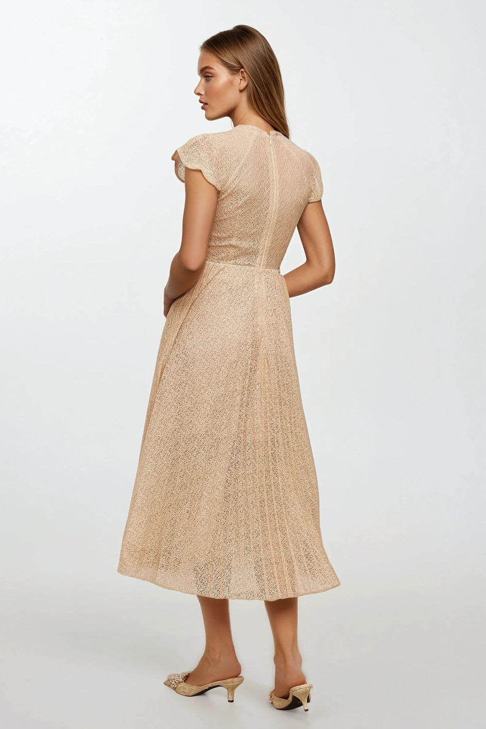 Embroidered Sheer Pleated Maxi Dress - Apricot
