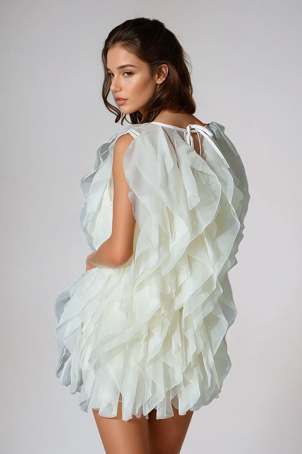 Ruffled Sheer Mini Dress - Beige