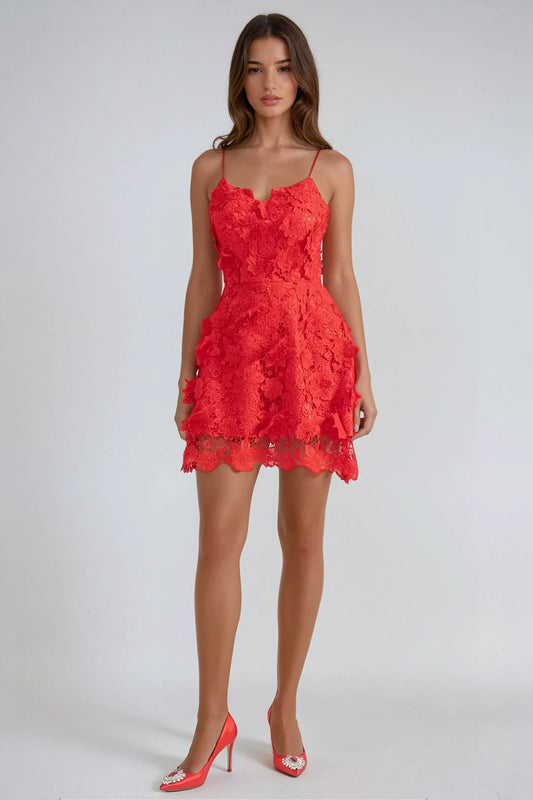 Lace Mini Dress with 3D Floral Details - Red