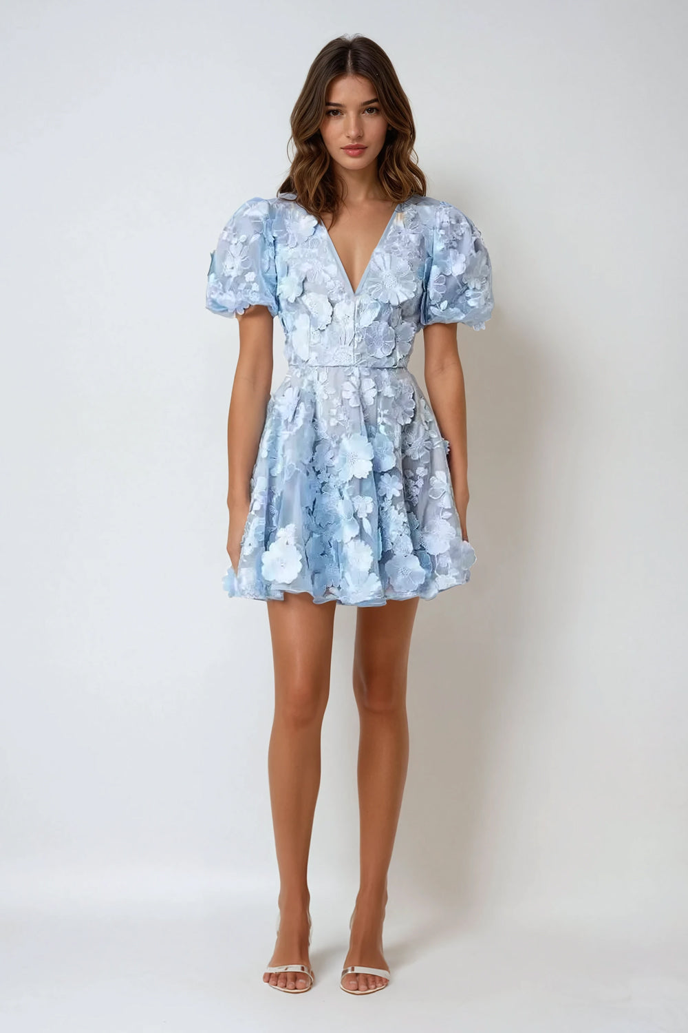 Floral Embroidered Puff Sleeve Mini Dress - Blue