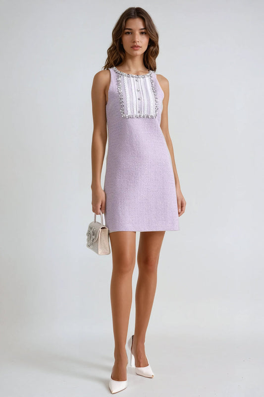 Sleeveless Mini Dress with Embellished Front Panel - Purple