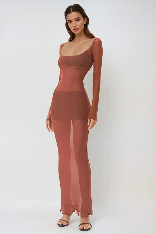 Long Sleeve Sheer Bodycon Maxi Dress - Brown