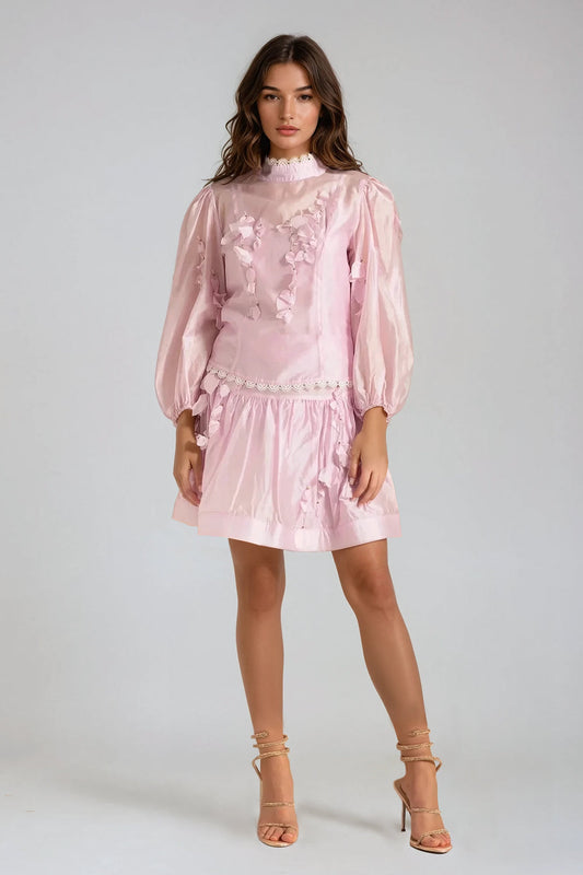 Two-Piece Set with Sheer Long-Sleeve Top and Shorts - Pink