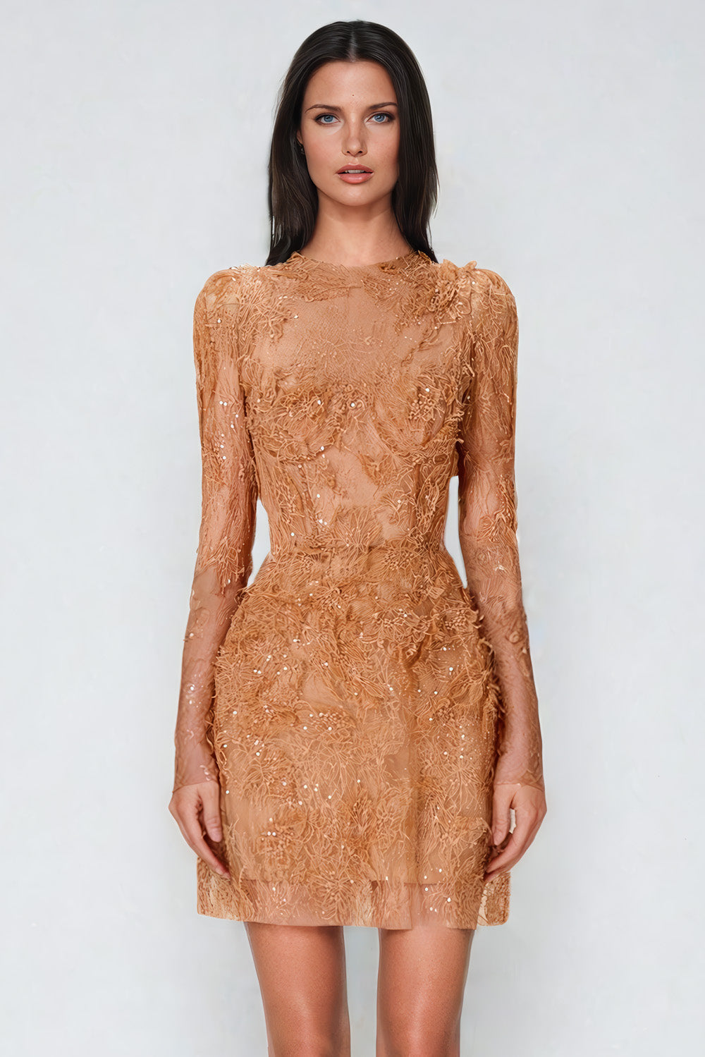 Lace Long Sleeve Mini Dress - Brown