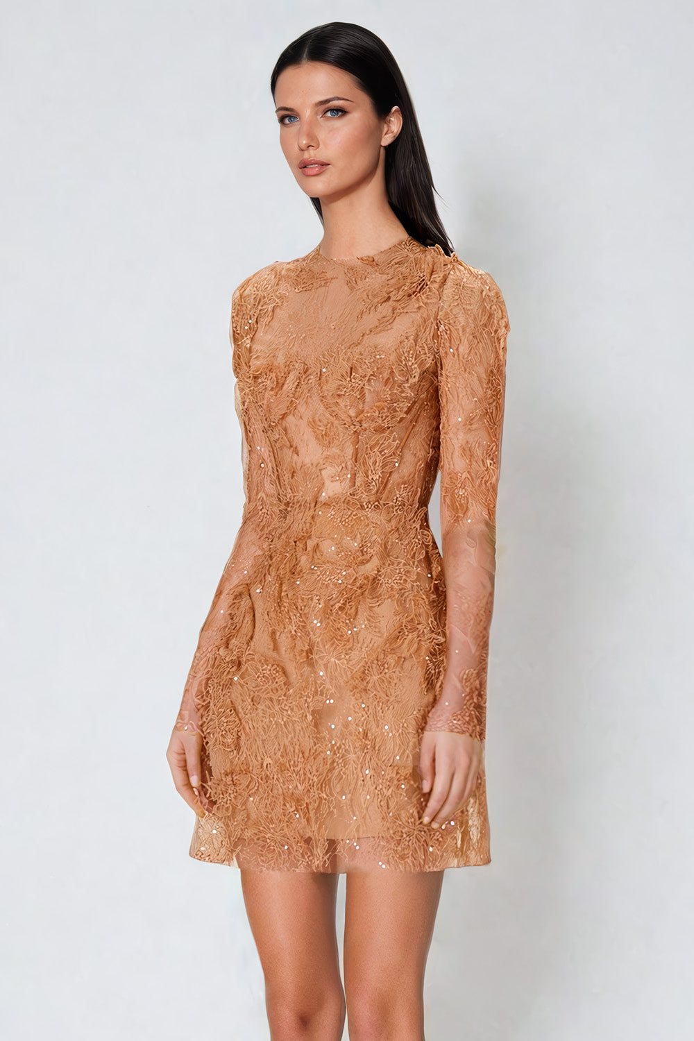 Lace Long Sleeve Mini Dress - Brown