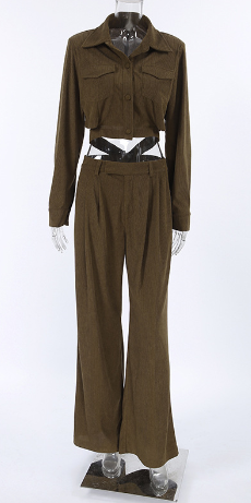 Two-Piece Set with Cropped Button-Up Top and Wide-Leg Trousers - Brown
