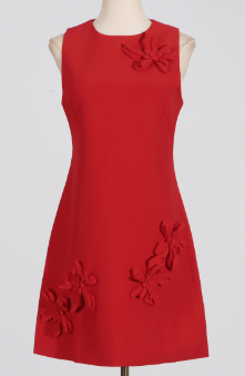 Sleeveless Mini Dress with Floral Embellishments - Red